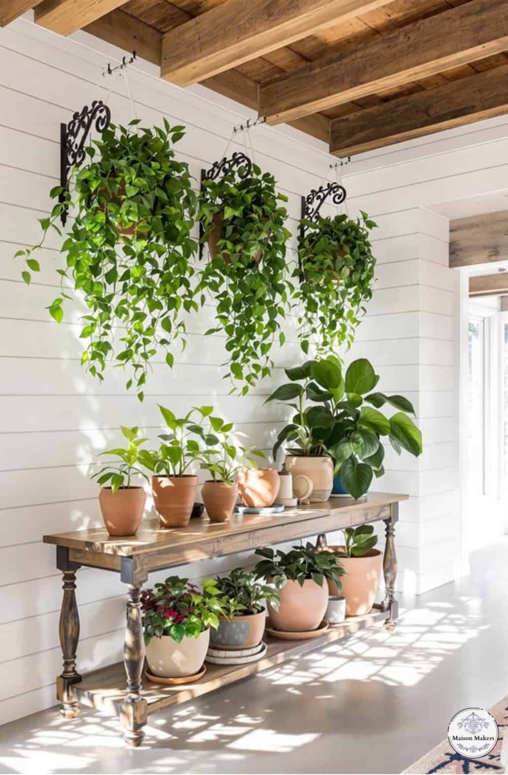 a shelf filled with potted plants on top of a white wall