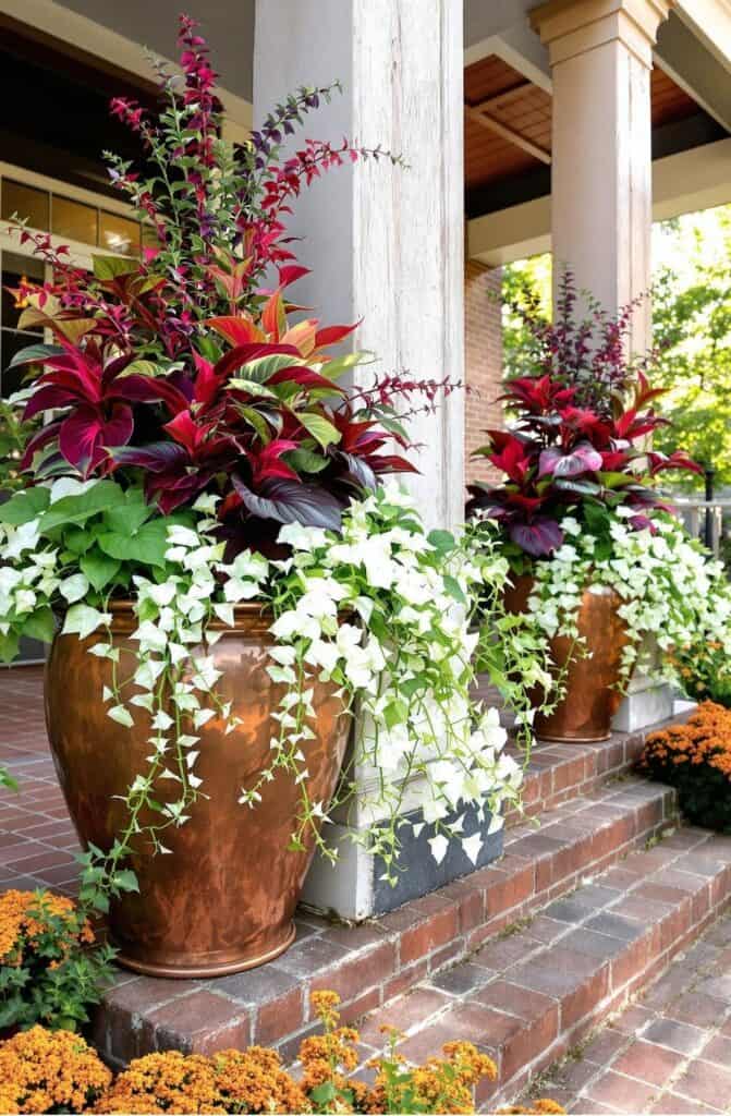a bunch of flowers that are in some pots